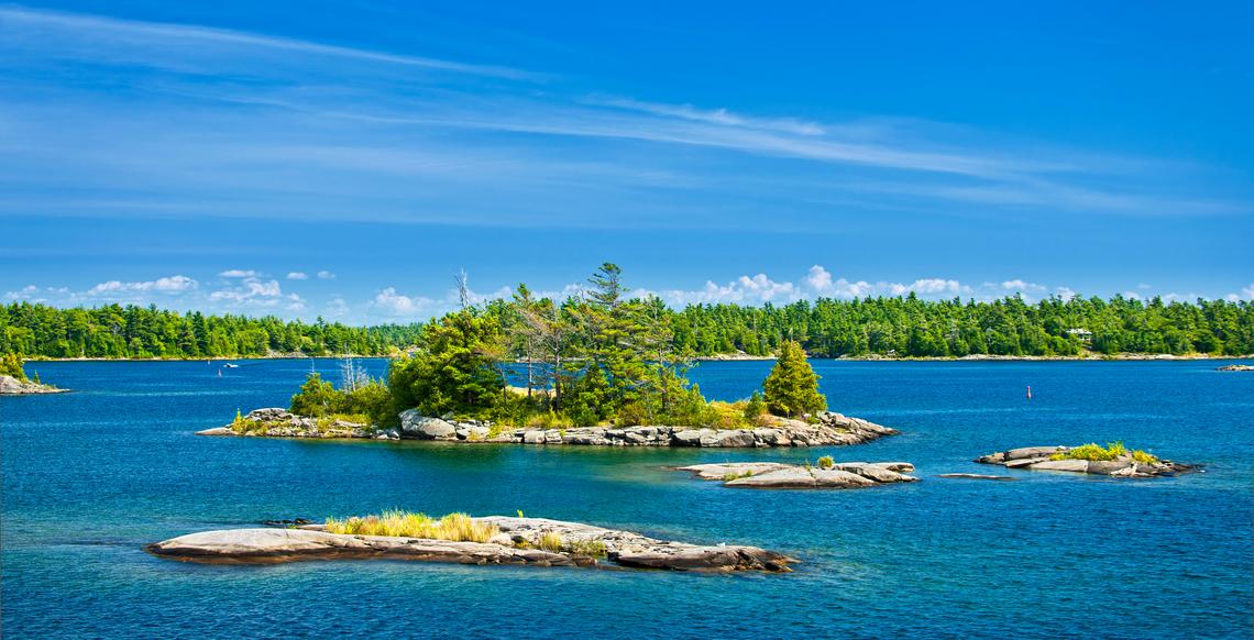 Feel the winter magic in Toronto